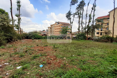 land-for-sale-in-ruaka-tysons-limited