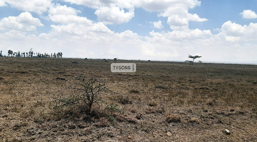 10 Acre Land for Sale in Acacia, Kitengela